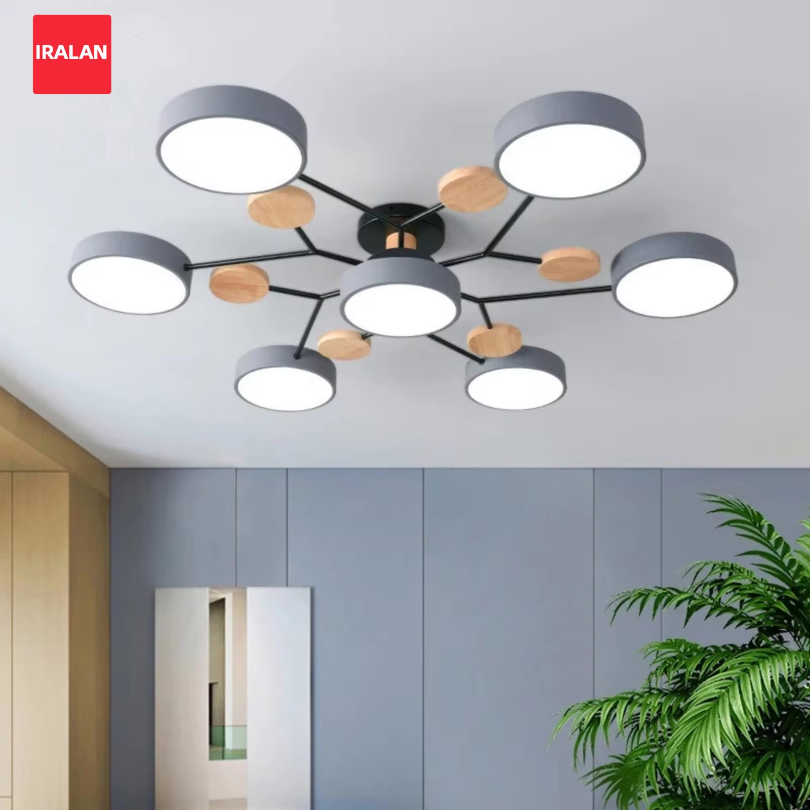 Modern LED Chandelier for Livi – обзор и цена Photography Lighting Styles